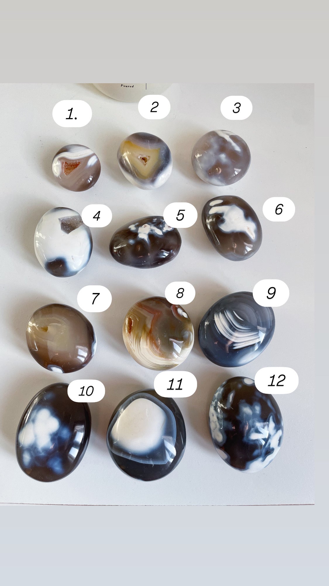 Palmstone Agata Orca