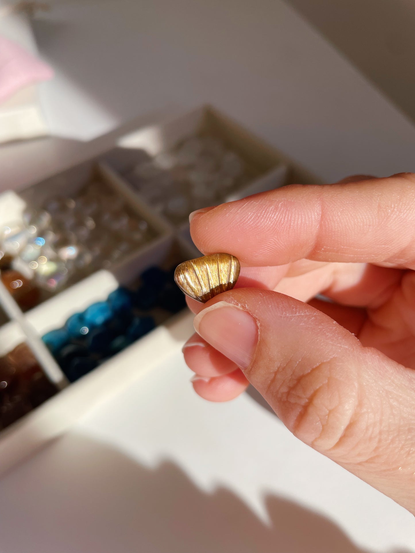 Mini conchiglia Pietra del sole