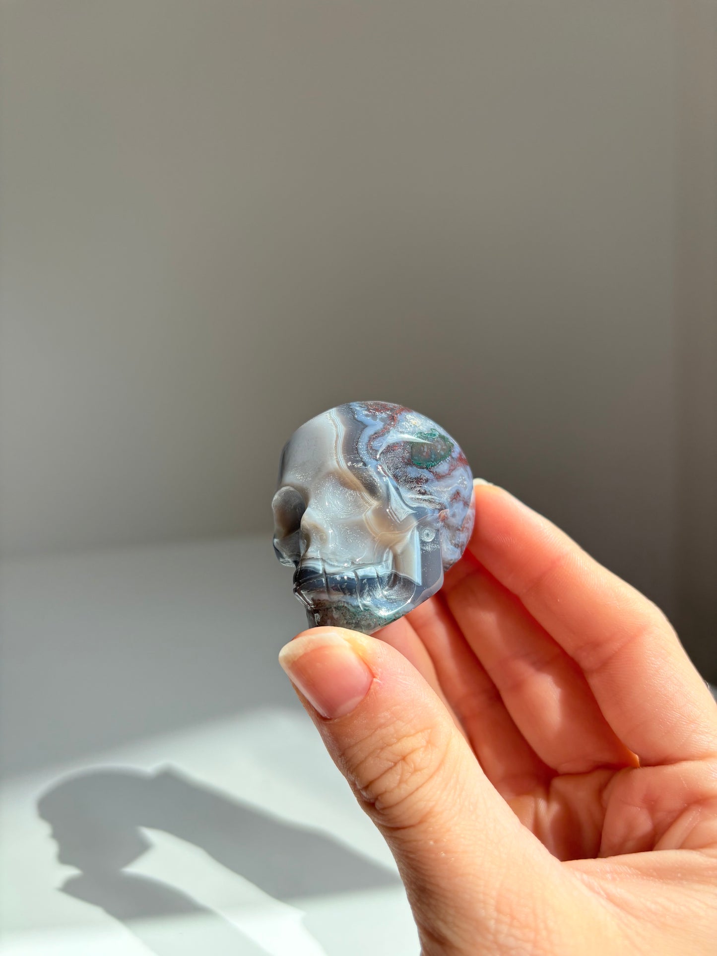 Teschio Agata Muschiata 1