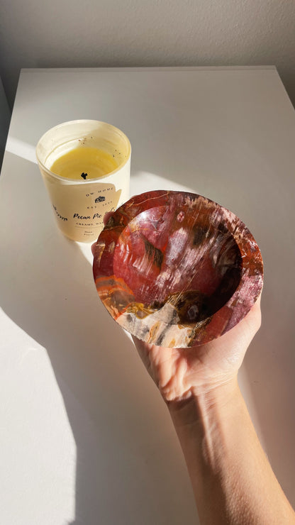 Ciotola Legno Fossile