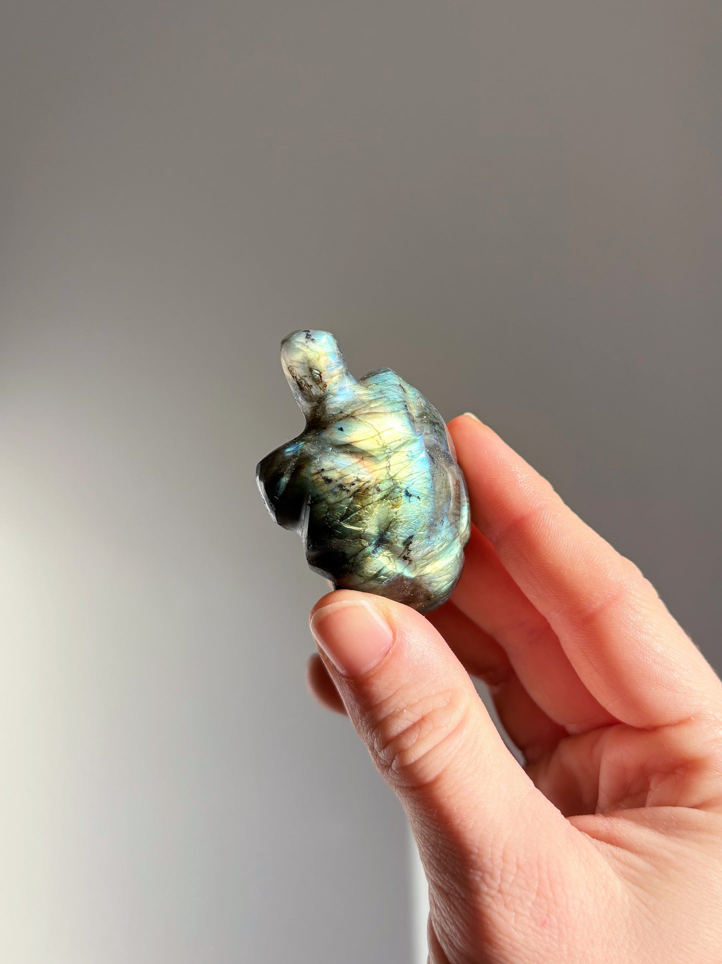 Tartaruga Labradorite 2