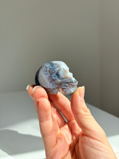 Teschio Agata Muschiata 1