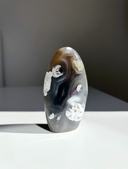 Agata Orca 1