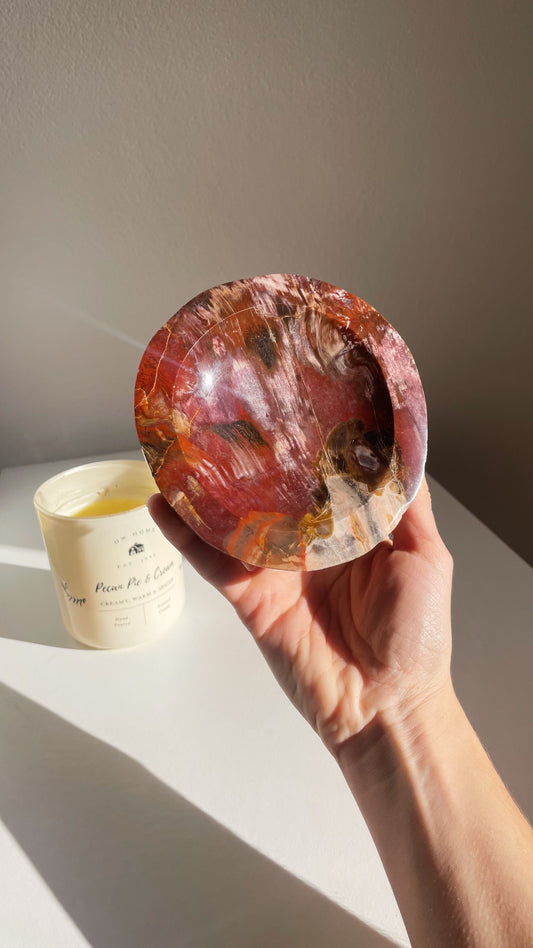 Ciotola Legno Fossile