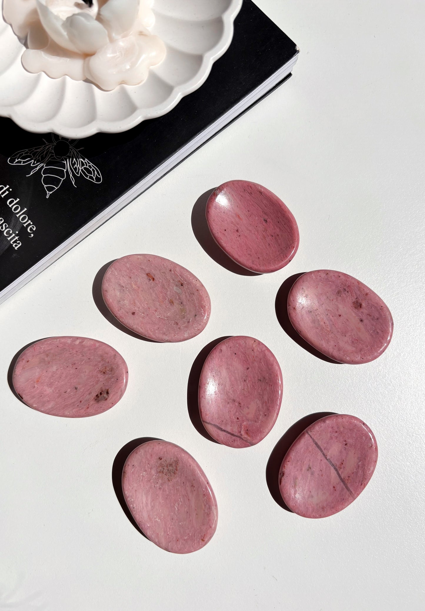 Worry Stone Legno Fossile